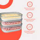 Kit Porta Frios Plástico Transparente com Tampa Pote Presunto Queijo 1L