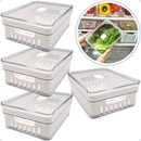 Kit Organizador de Geladeira Clear com Tampa e Cesto de Drenagem